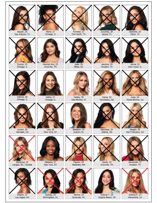 The Bachelor ladies Peter the pilot week 5